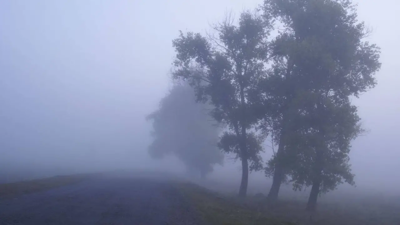 تحذير لمواطني الأردن.. فرصة تشكل ضباب كثيف تعيق حركة السير ليل الإثنين